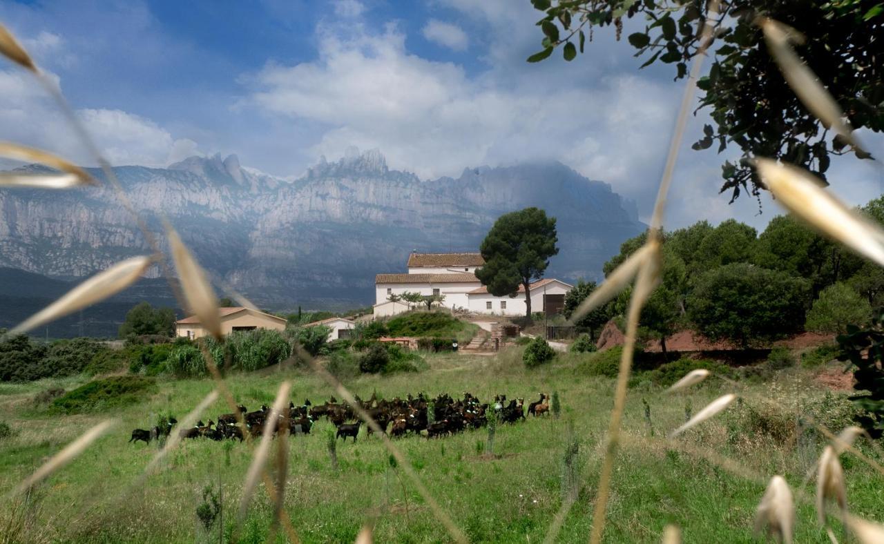 La Frasera Alojamiento Rural Vacarisas Bagian luar foto